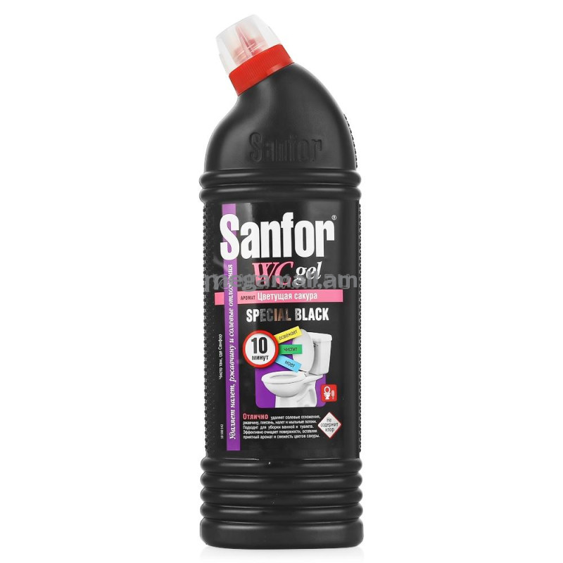 гель чистящий для туалета Sanfor Speсial black, 1 кг [1953] [4602984004843]