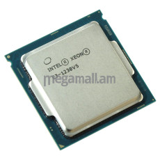 [OEM] Quad-Core Intel Xeon E3-1230V5, 3.40ГГц, LGA1151, 8.0 GT/s, 8M, [CM8066201921713SR2LE]